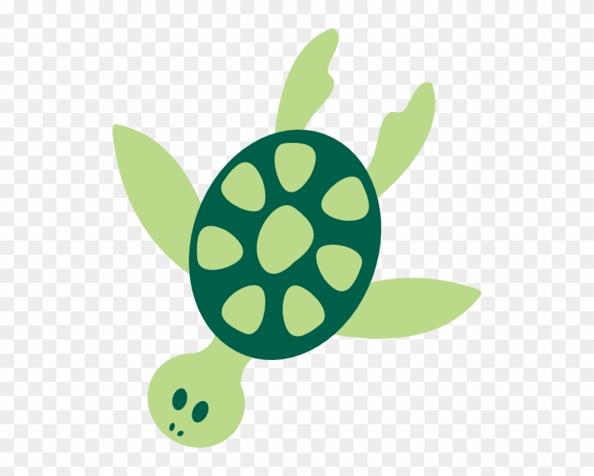 Detail Turtle Vector Png Nomer 28