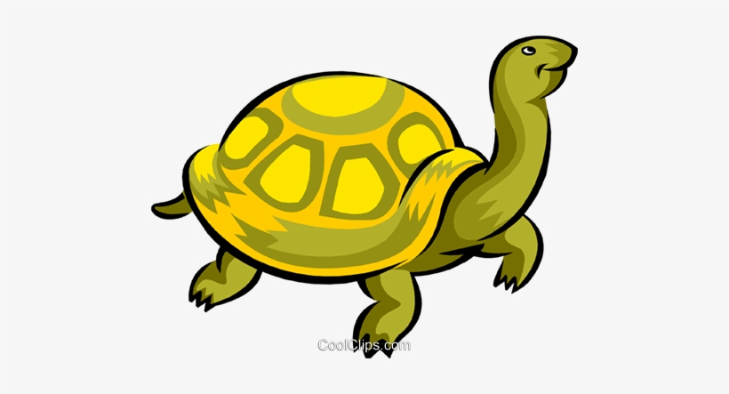 Detail Turtle Vector Png Nomer 29