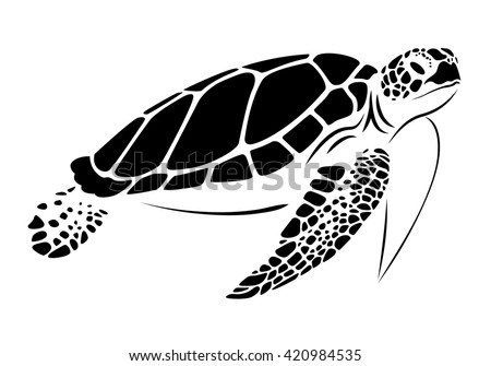 Detail Turtle Vector Png Nomer 30