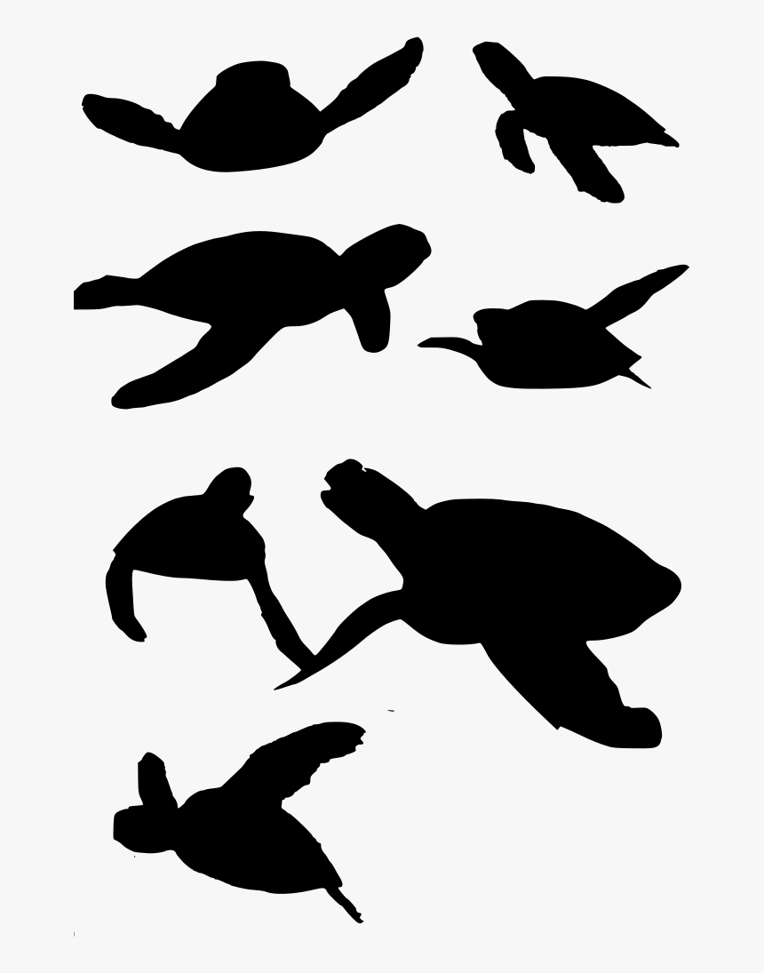 Detail Turtle Vector Png Nomer 31