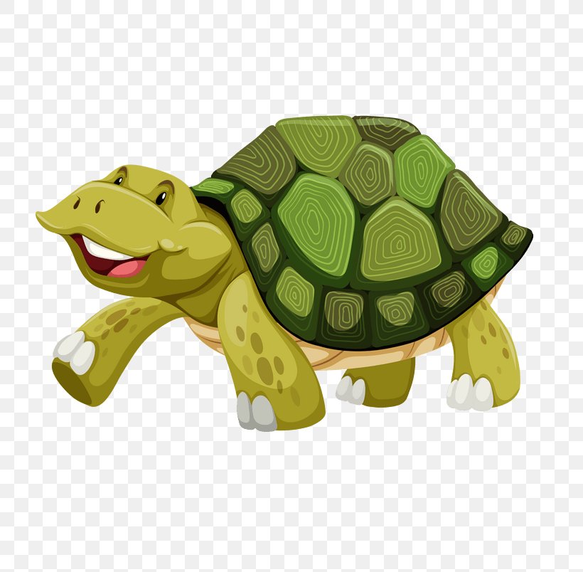 Detail Turtle Vector Png Nomer 32