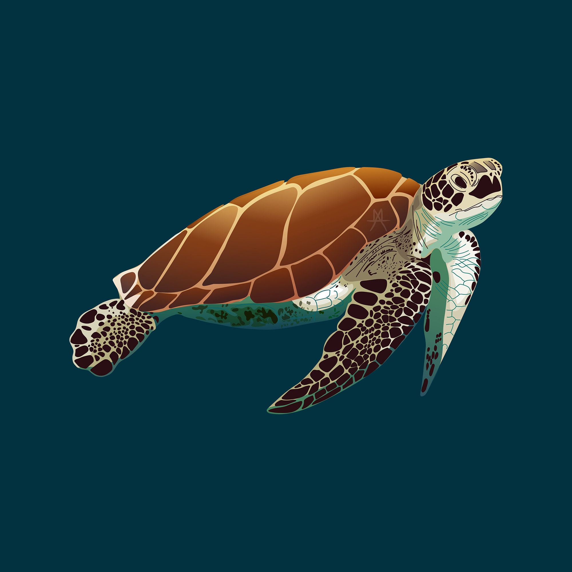 Detail Turtle Vector Png Nomer 35