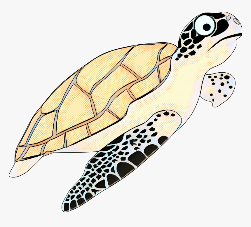 Detail Turtle Vector Png Nomer 38