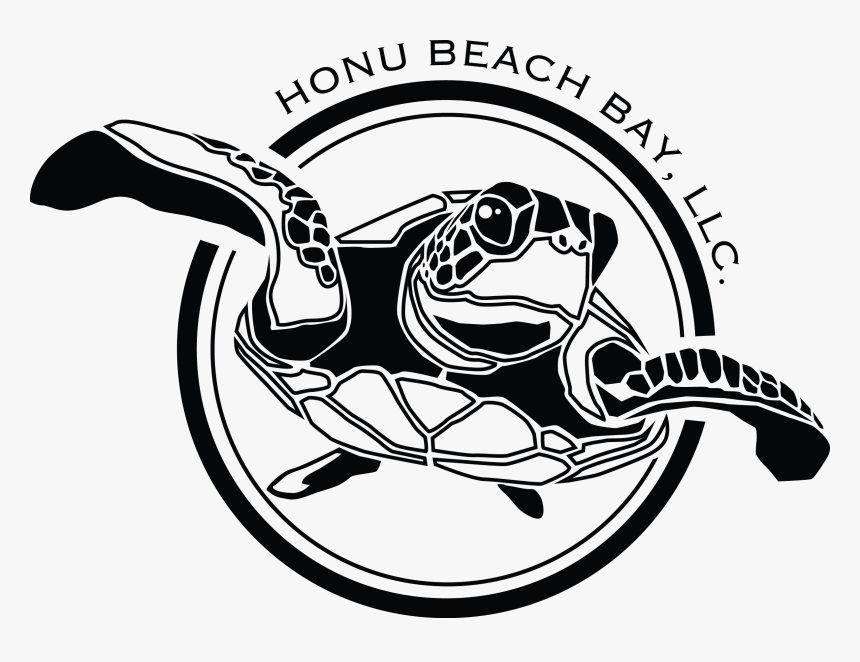 Detail Turtle Vector Png Nomer 39