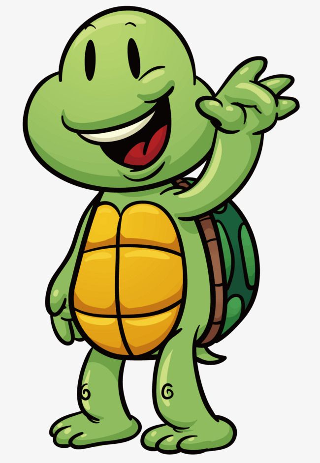 Detail Turtle Vector Png Nomer 40