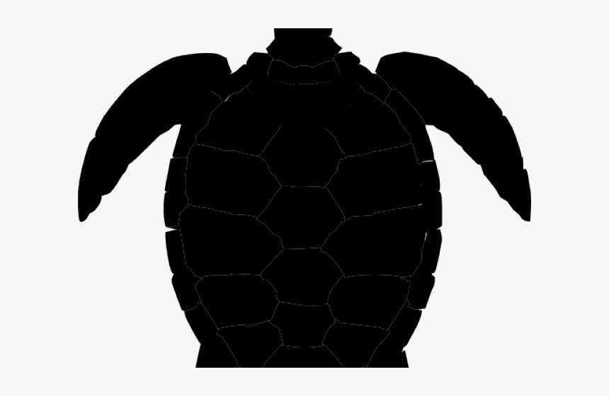 Detail Turtle Vector Png Nomer 42