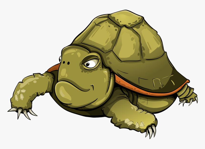 Detail Turtle Vector Png Nomer 45