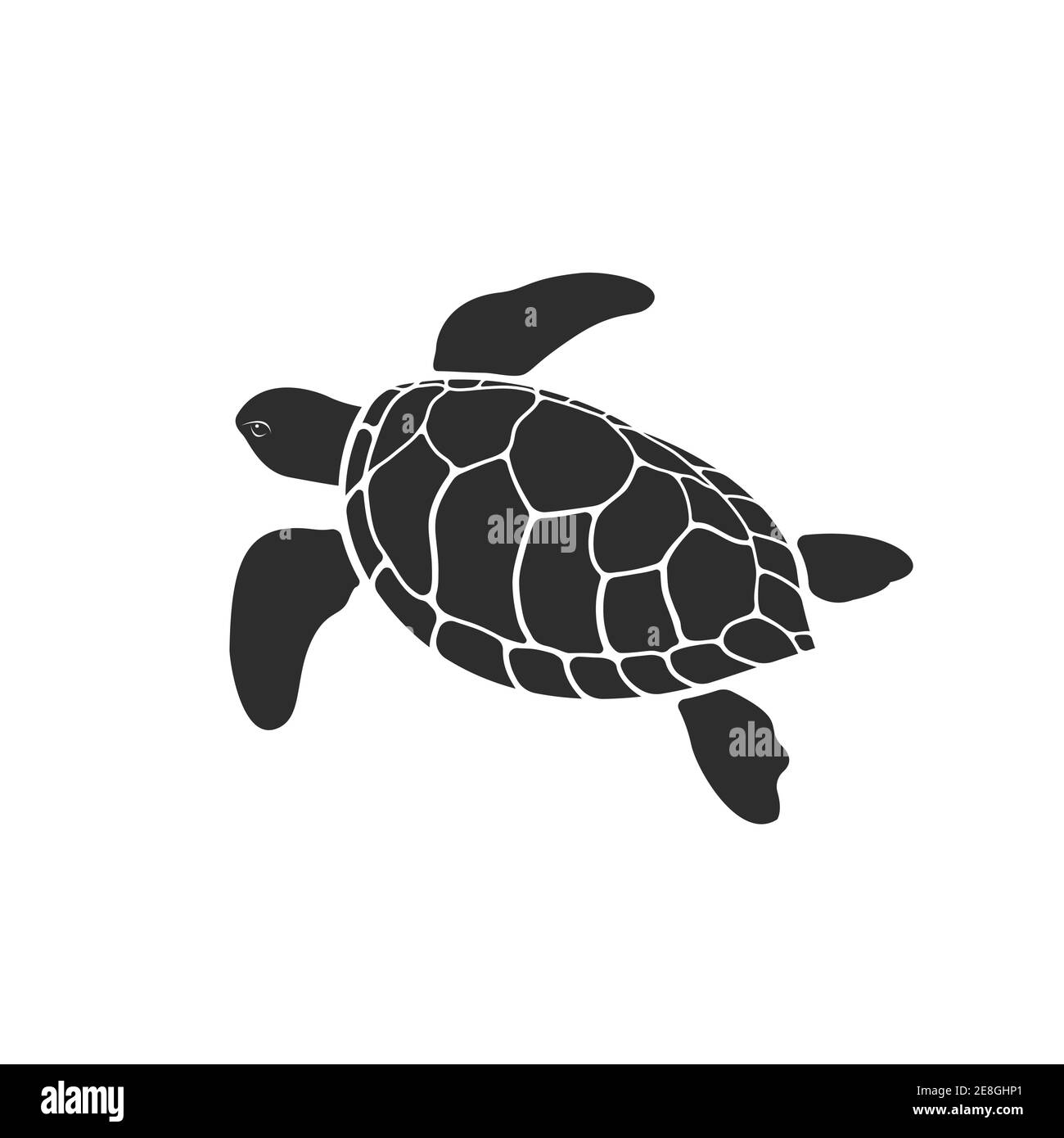 Detail Turtle Vector Png Nomer 47