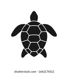Detail Turtle Vector Png Nomer 48