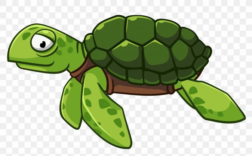 Detail Turtle Vector Png Nomer 8