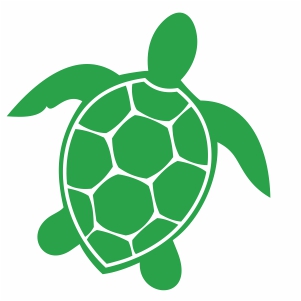 Detail Turtle Vector Png Nomer 9