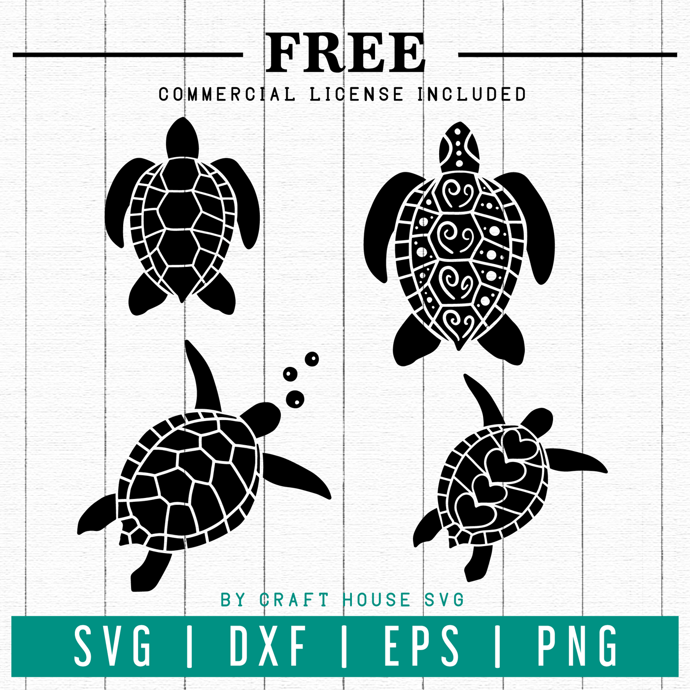Detail Turtles Images Free Nomer 31