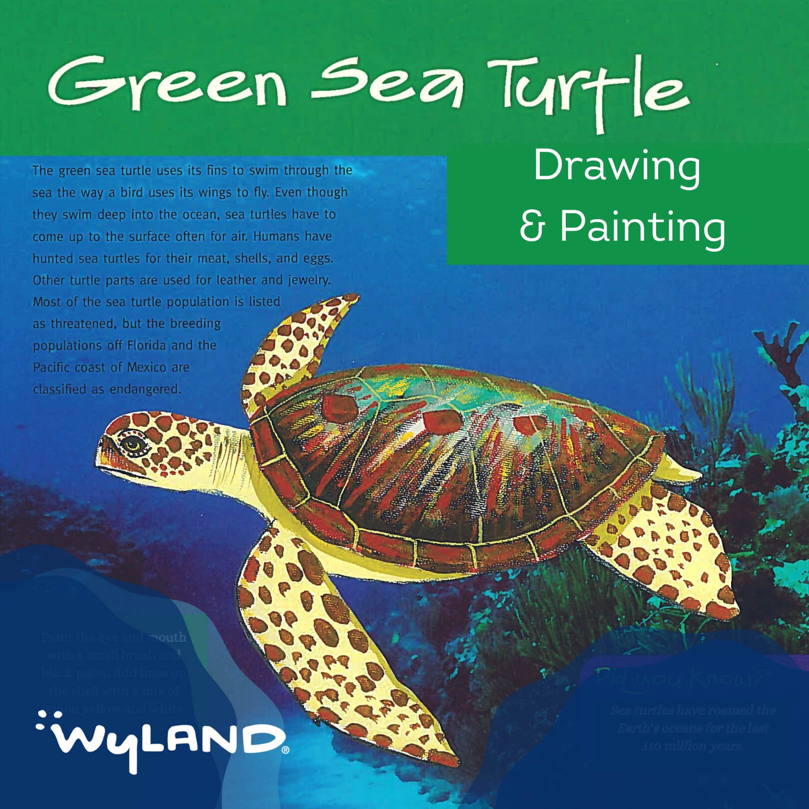 Detail Turtles Images Free Nomer 35