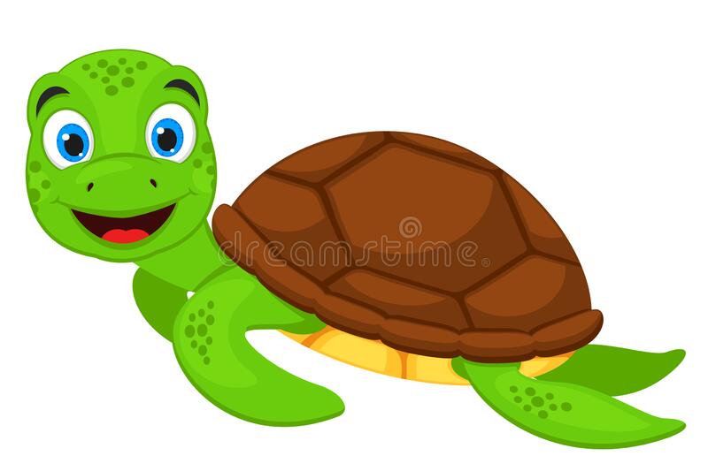 Detail Turtles Images Free Nomer 37