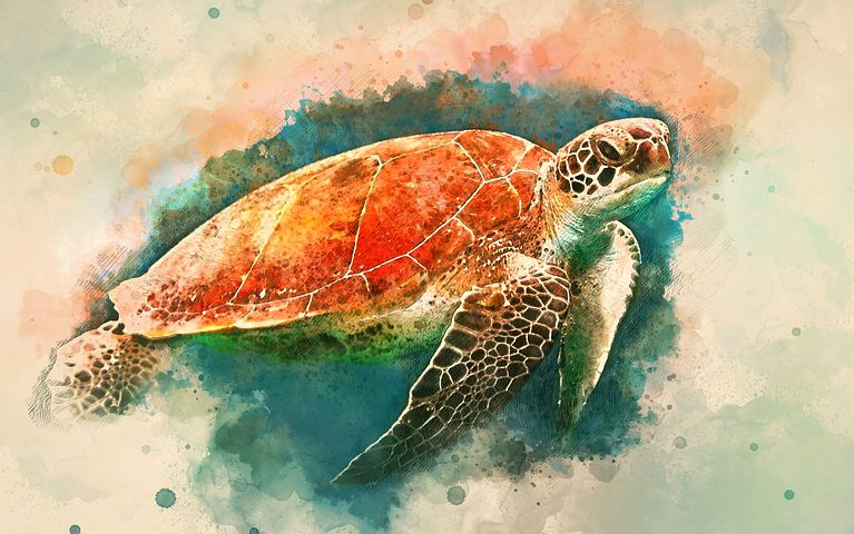 Detail Turtles Images Free Nomer 40