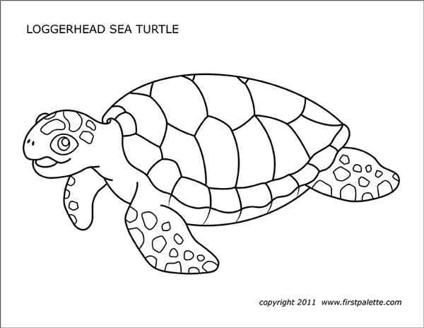 Detail Turtles Images Free Nomer 41