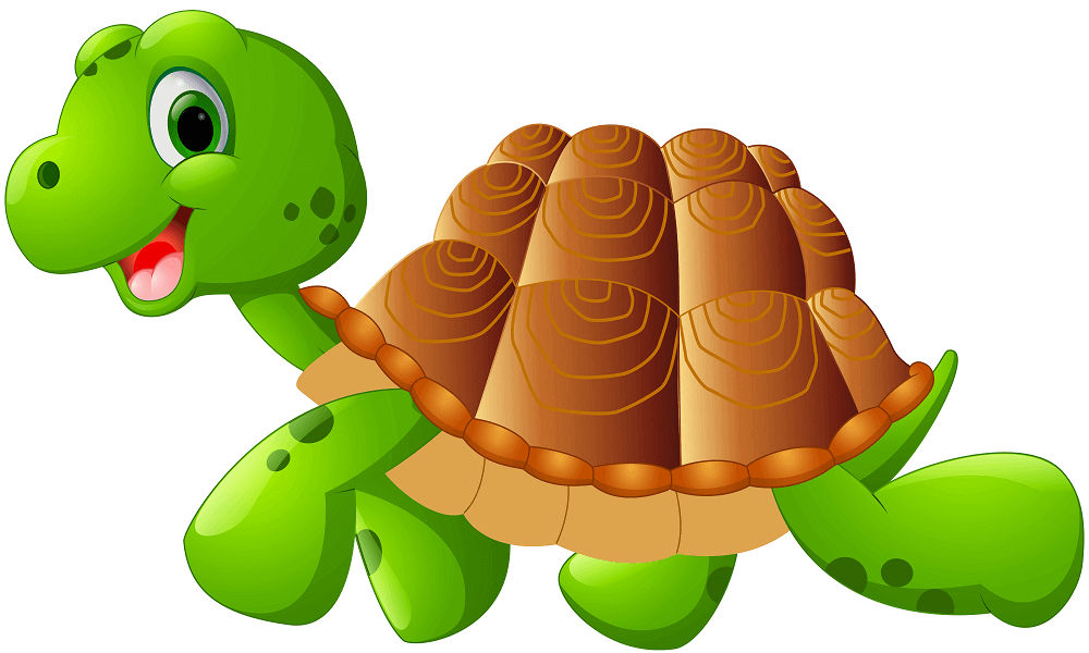 Detail Turtles Images Free Nomer 53