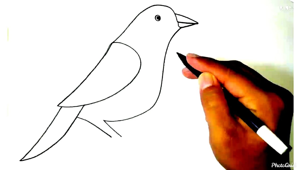 Detail Tutorial Gambar Burung Nomer 3