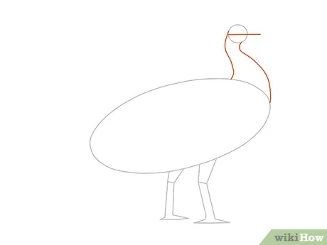 Detail Tutorial Gambar Burung Nomer 30