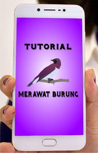 Download Tutorial Gambar Burung Nomer 43