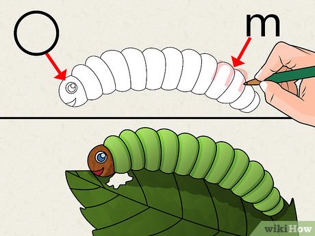 Detail Tutorial Gambar Hewan Untuk Anak Nomer 19