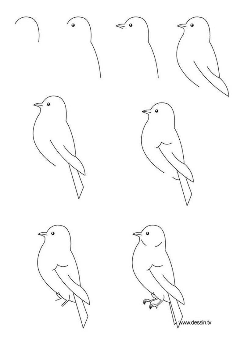 Detail Tutorial Gambar Hewan Untuk Anak Nomer 31