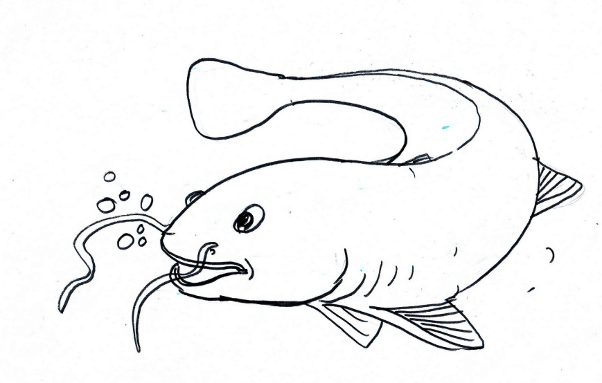 Detail Tutorial Gambar Ikan Nomer 33