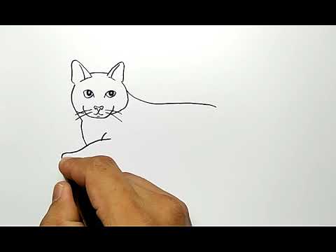 Detail Tutorial Gambar Kucing Nomer 16