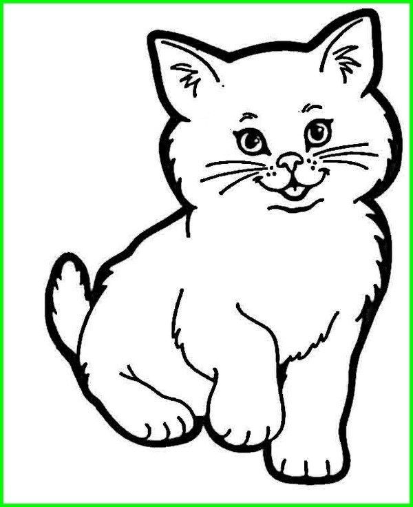 Detail Tutorial Gambar Kucing Nomer 17