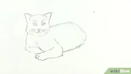 Detail Tutorial Gambar Kucing Nomer 23
