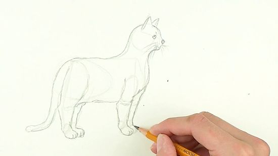 Detail Tutorial Gambar Kucing Nomer 31