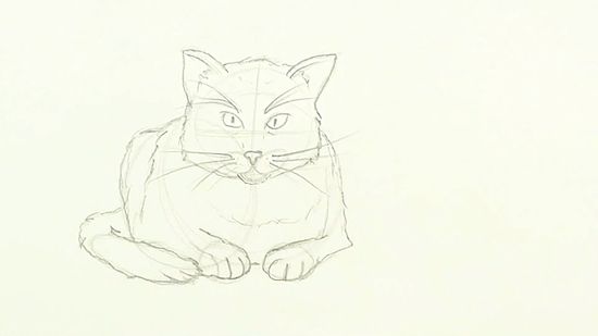 Detail Tutorial Gambar Kucing Nomer 33