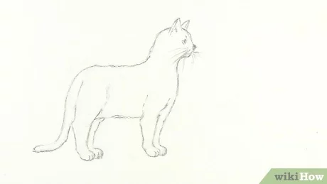 Detail Tutorial Gambar Kucing Nomer 40