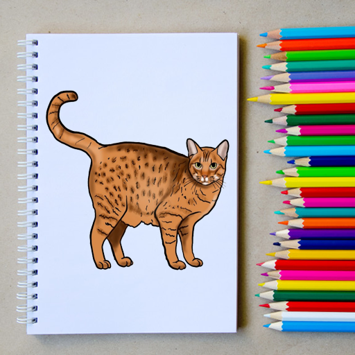 Detail Tutorial Gambar Kucing Nomer 42