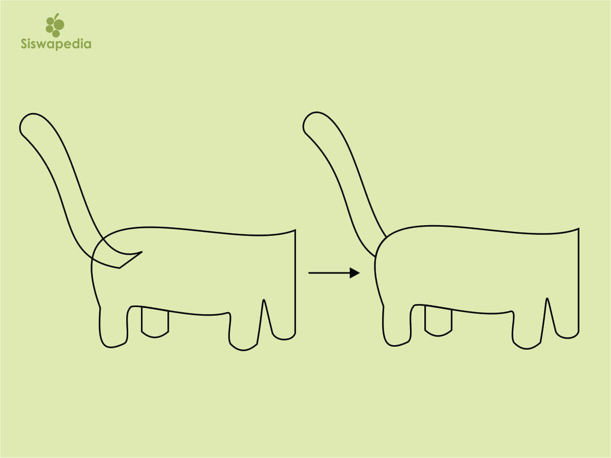 Detail Tutorial Gambar Kucing Nomer 43