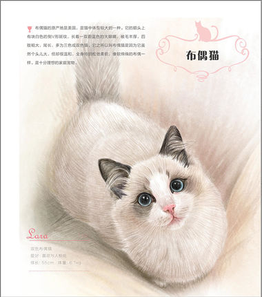Detail Tutorial Gambar Kucing Nomer 45