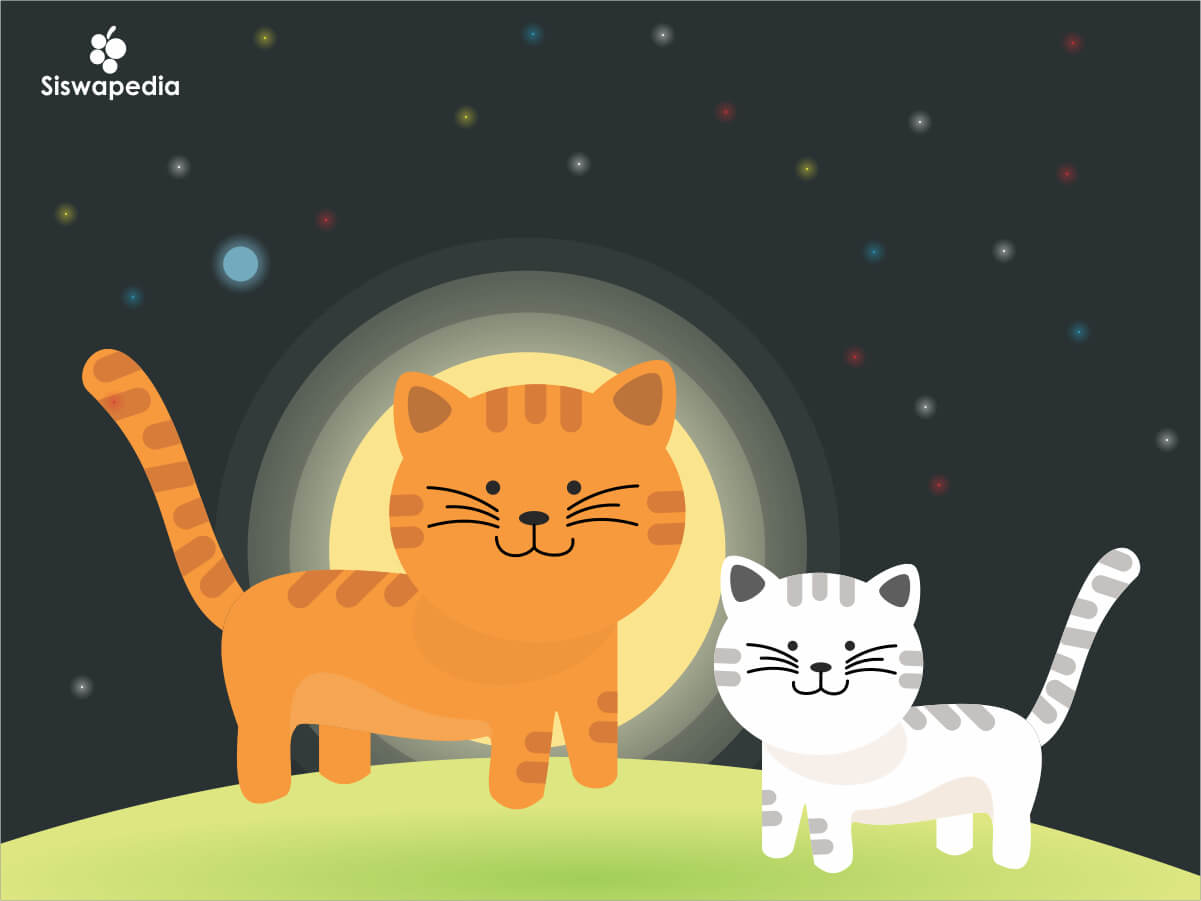 Detail Tutorial Gambar Kucing Nomer 48