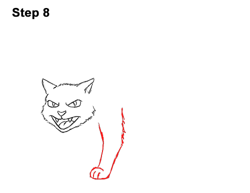 Detail Tutorial Gambar Kucing Nomer 51