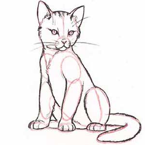 Detail Tutorial Gambar Kucing Nomer 52