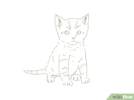 Detail Tutorial Gambar Kucing Nomer 8