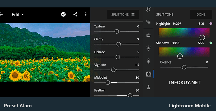 Detail Tutorial Lightroom Alam Nomer 2