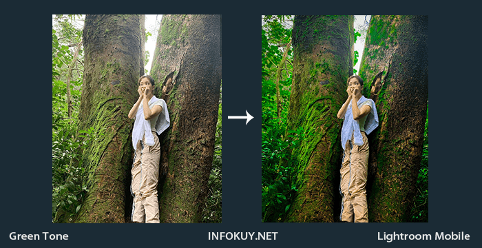 Detail Tutorial Lightroom Alam Nomer 11