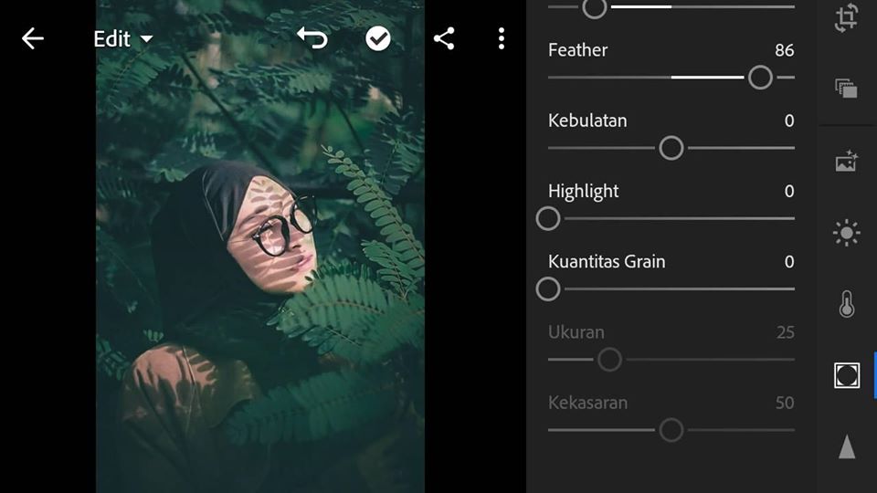 Detail Tutorial Lightroom Alam Nomer 19