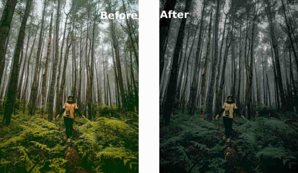 Detail Tutorial Lightroom Alam Nomer 3