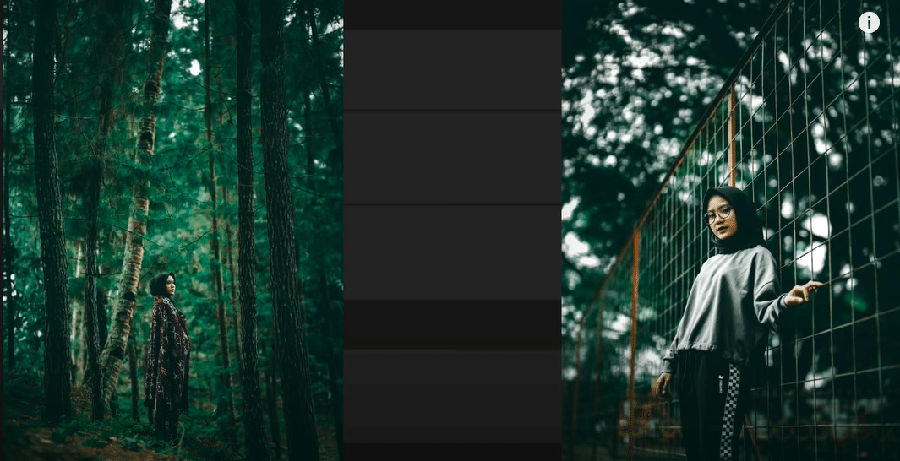 Detail Tutorial Lightroom Alam Nomer 4