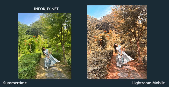Detail Tutorial Lightroom Alam Nomer 5