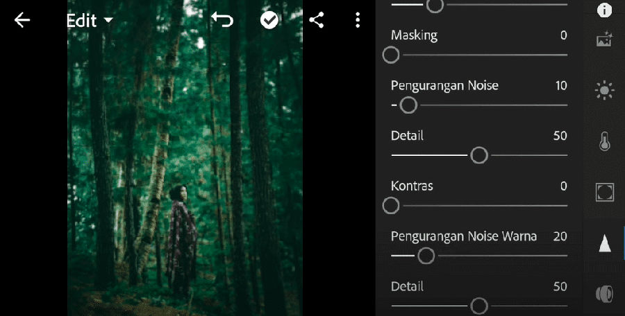 Detail Tutorial Lightroom Alam Nomer 6