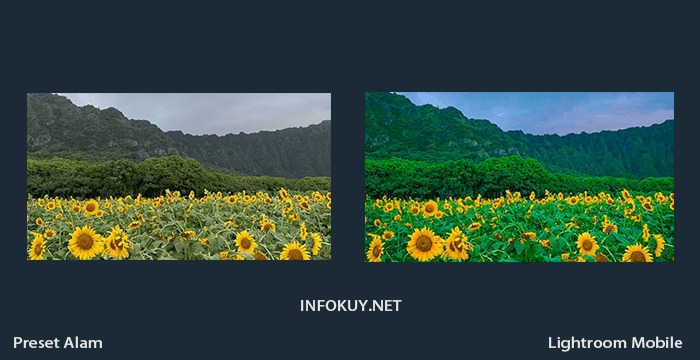 Detail Tutorial Lightroom Alam Nomer 10