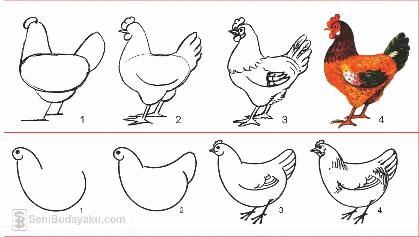 Detail Tutorial Menggambar Ayam Nomer 2