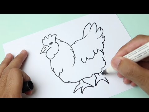 Detail Tutorial Menggambar Ayam Nomer 11